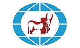 Axis Bank